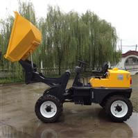 Site de Dumper SD10